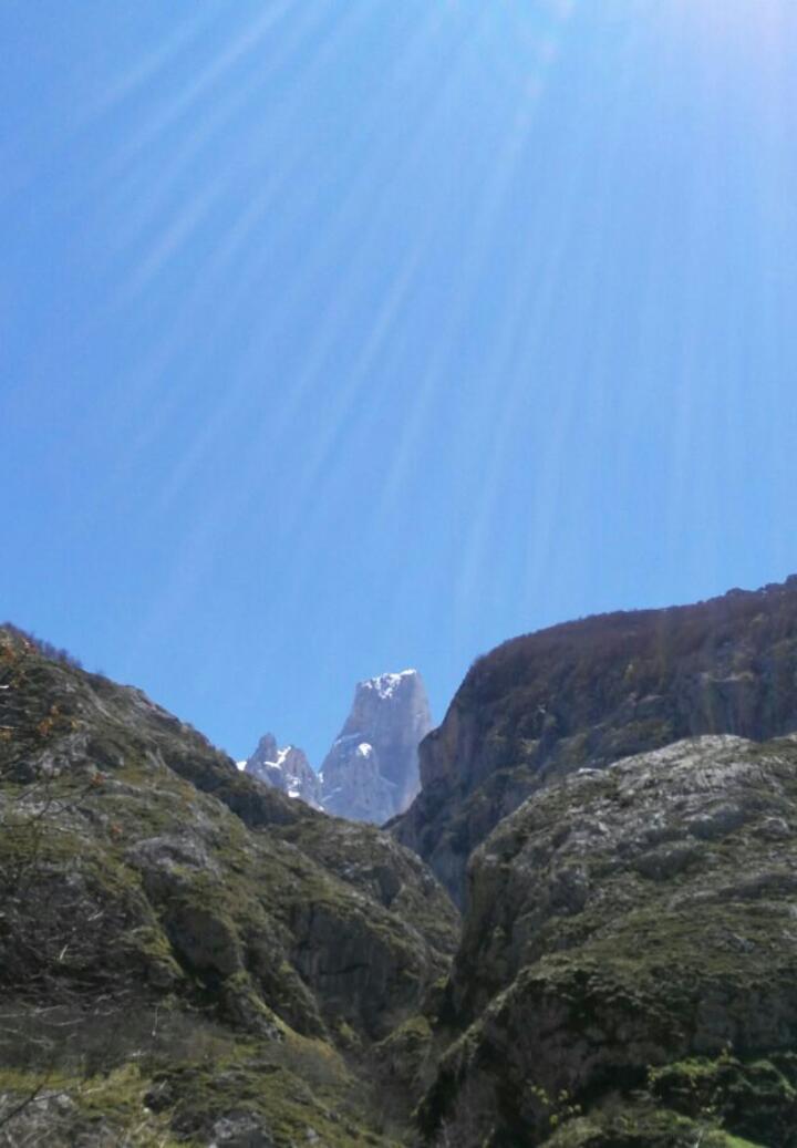 5dcddfd144ea8e62431e6b9a4f2e1837