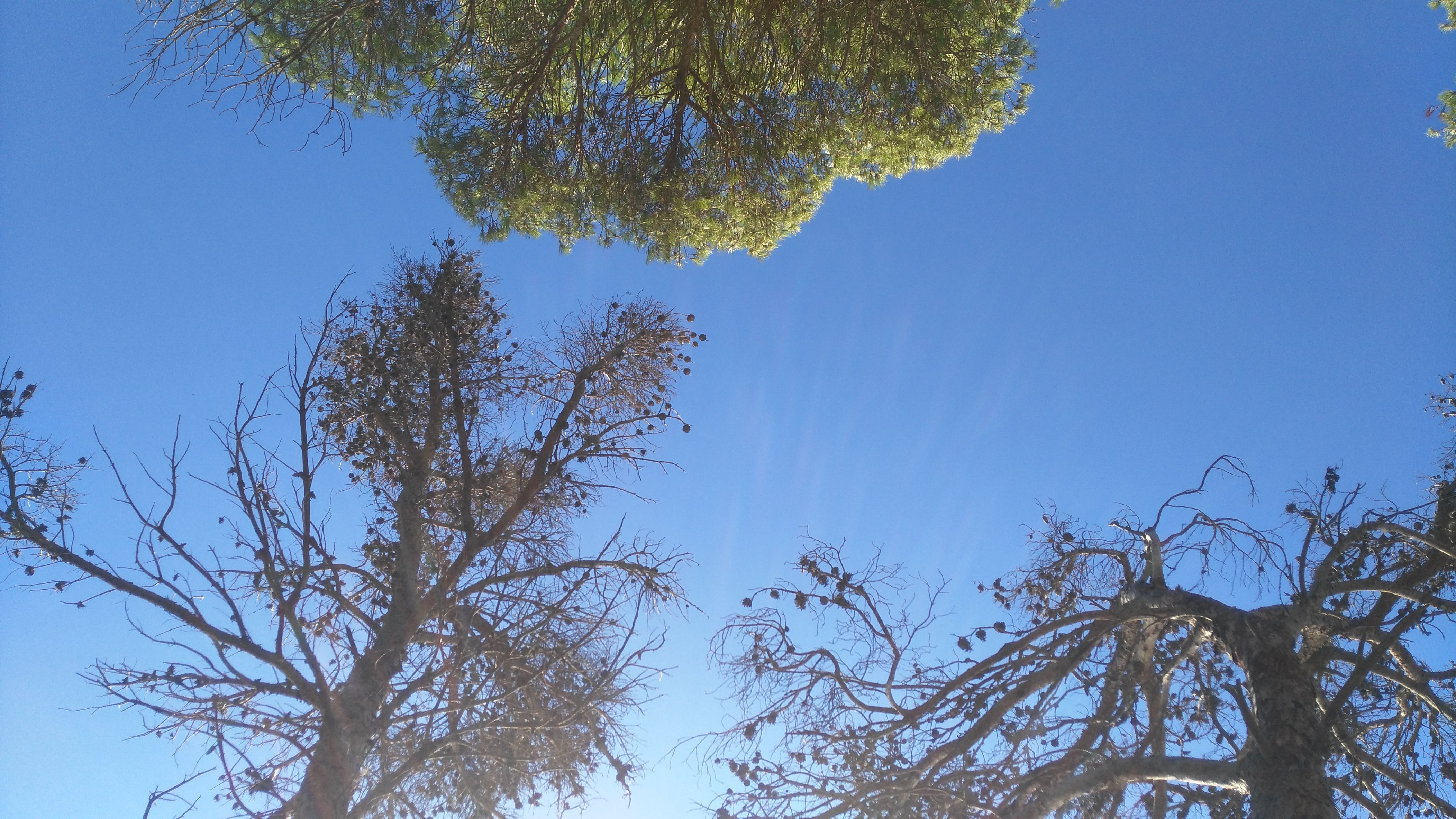 IMG_20171008_095346[1]