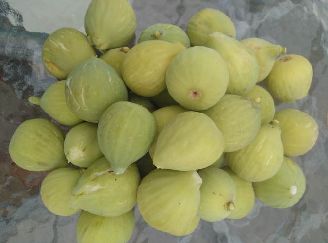 img_20180828_185846_757